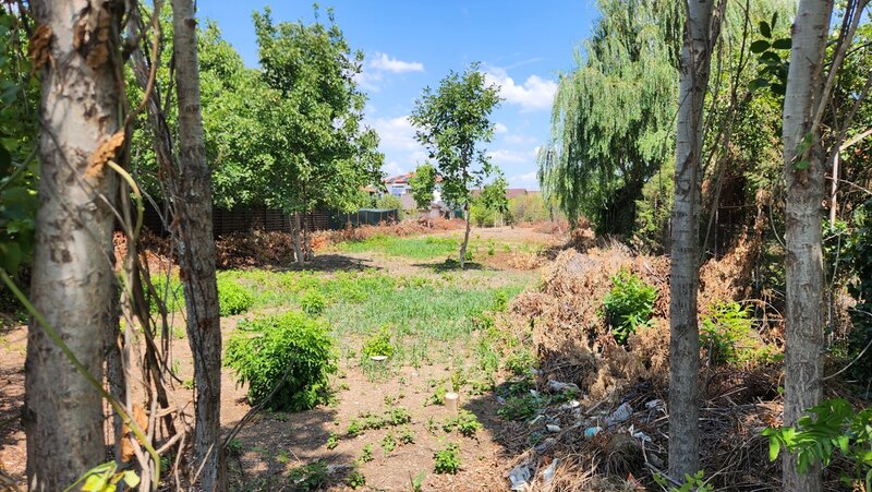 Magurele, Piscina Magurele, doar 1 km primarie, parc.