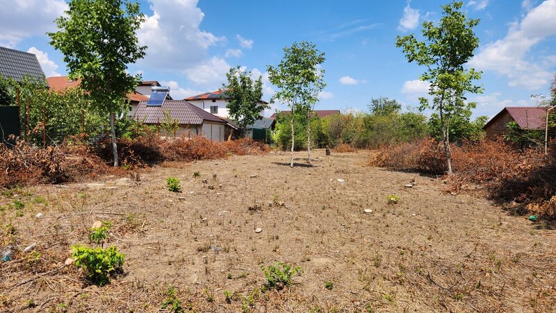 Magurele, Piscina Magurele, doar 1 km primarie, parc.
